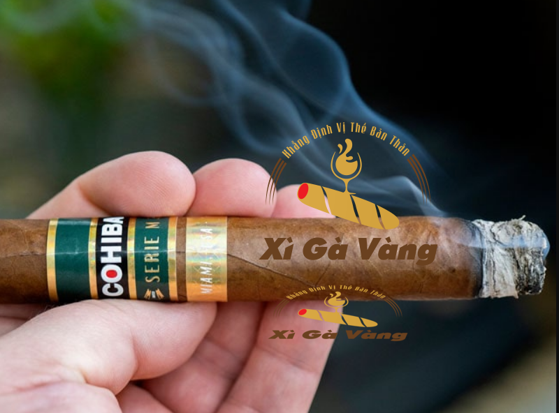 Cohiba behike 52 khiến bạn say mê ngay khi hút